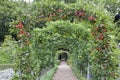 Apple tree arch in a summer english garden