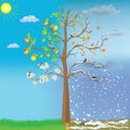 Apple tree as symbol of four seasonal changes