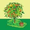 Apple tree