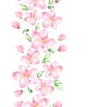 Apple tree in bloom. Seamless border. Watercolor flowers