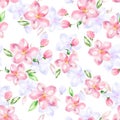 Apple tree in bloom. Seamless pattern. Watercolor flowers Royalty Free Stock Photo
