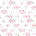 Apple tree in bloom 11. Seamless pattern. Watercolor flowers. Royalty Free Stock Photo