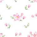 Apple tree in bloom 14. Seamless pattern. Watercolor flowers. Royalty Free Stock Photo
