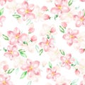 Apple tree in bloom. Seamless pattern. Watercolor flowers. Royalty Free Stock Photo