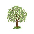 Apple tree Royalty Free Stock Photo