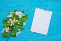 Apple tree blossom branch with notepad over turquoise wooden desk Royalty Free Stock Photo