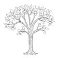 Apple tree coloring page. Vector black and white Royalty Free Stock Photo