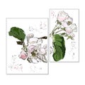 Apple-tree flowers on a branch with leaves, stylization of a watercolor, an interior picture, a diptych
