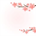 Apple tree flowers. Branches of sakura with flowers. Cherry blossom branches on light Pink background. Vector