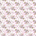 Apple tree flowers with butterflies and splashes of paint. Pink, delicate, airy, spring, seamless pattern. Watercolor
