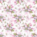 Apple tree flowers with butterflies and splashes of paint. Pink, delicate, airy, spring, seamless pattern. Watercolor Royalty Free Stock Photo