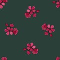 Apple tree flowers seamless pattern on dark green background Royalty Free Stock Photo