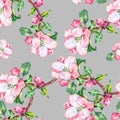 Branch Flowers Apple. Handiwork Watercolor Seamless Pattern on a Blue Background.