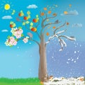 Apple tree in four seasons on cloudy sky background with sun. Spring, summer, autumn, winter. Flowers, bee, birds, pollination,