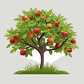 Apple tree with fruit, summer time. Illustration vector Royalty Free Stock Photo