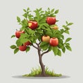 Apple tree with fruit, summer time. Illustration vector Royalty Free Stock Photo