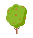 Apple Tree Full of Fruit Isolated Cartoon Icon Royalty Free Stock Photo