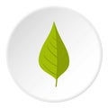 Apple tree green leaf icon circle Royalty Free Stock Photo