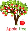 Apple tree with green leaves, ripe red fruits and title Royalty Free Stock Photo
