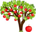 Apple tree with green leaves and ripe red fruits Royalty Free Stock Photo