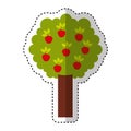 apple tree isolated icon Royalty Free Stock Photo