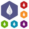 Apple tree leaf icons set hexagon Royalty Free Stock Photo