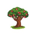 Apple tree of numbers cartoon vector illustration Royalty Free Stock Photo