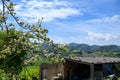 Apple tree orchards in Asturias, spring white blossom of apple trees, production of famous cider in Asturias, Comarca de la Sidra Royalty Free Stock Photo