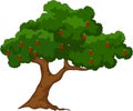 Apple tree with red apples white background