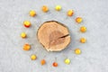 Apple tree stump with copy space surrounded by cherry apples Royalty Free Stock Photo