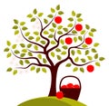 Apple tree in two seasons Royalty Free Stock Photo