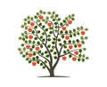Apple tree vector drawing. Isolated vector illustration of apple tree on a white background Royalty Free Stock Photo