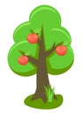 Apple Tree Vector Illustration Royalty Free Stock Photo