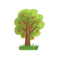 Apple tree vector Illustration on a white background Royalty Free Stock Photo