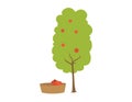 Apple tree vector illustration
