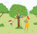 Apple Tree Woman Picking Fruits Kid Playing Vector Royalty Free Stock Photo