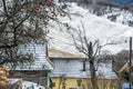 Apple tree and wooden houses in Vlkolinec village, Slovakia, Une