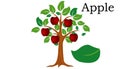 Apple Trees vector element. vector green