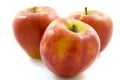 Apple trio Royalty Free Stock Photo