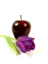 Apple with tulip Royalty Free Stock Photo