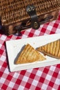 Apple turnover on a white plate, with a wicker picnic basket,  outdoors in sunshine. on a gingham cloth. Royalty Free Stock Photo