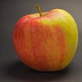 Apple varieties CHAMPION