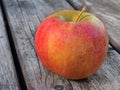 Apple varieties CHAMPION Royalty Free Stock Photo