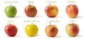 Apple varieties isolated against white background