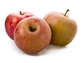 Apple variety, Boskoop Royalty Free Stock Photo