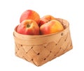 Apple variety Florina or Querina in basket Royalty Free Stock Photo
