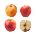 Apple variety Florina or Querina Royalty Free Stock Photo