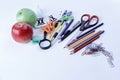 Apple and variety of school supplies on white background.photo with copy space Royalty Free Stock Photo