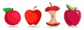 Apple clip art set. red apple clip art, apple core clip art