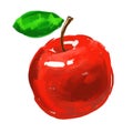 Apple Vector illustration hand drawn painted Royalty Free Stock Photo